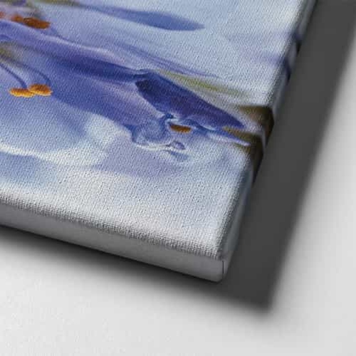 Kiraz Cicegi Kanvas Tablo