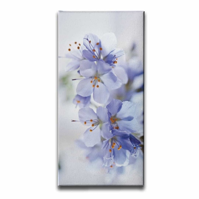 Kiraz Cicegi Kanvas Tablo