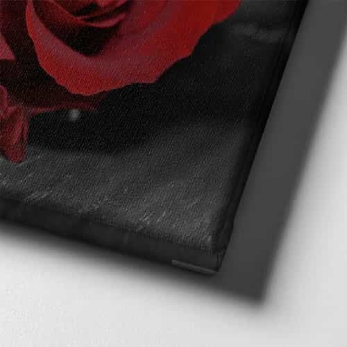 Kirmizi Gul Kanvas Tablo