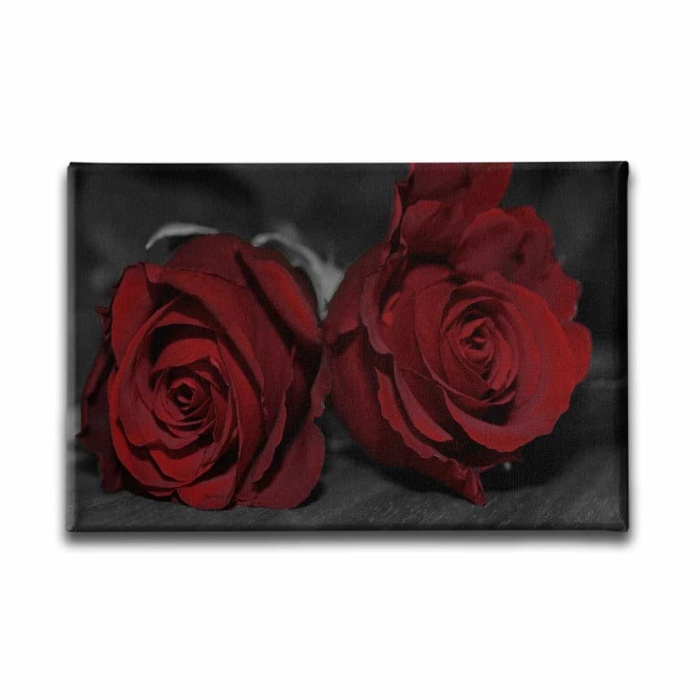 Kirmizi Gul Kanvas Tablo