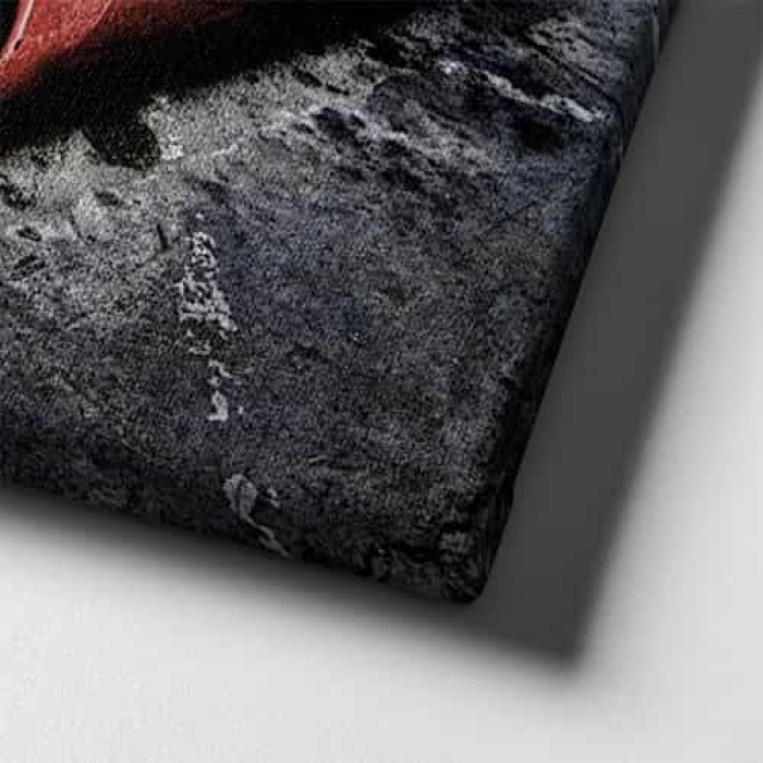 Klasik Kirmizi Canvas Tablo