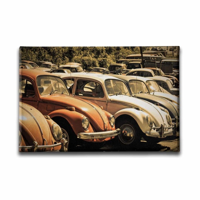 Klasik Vosvoslar Canvas Tablo