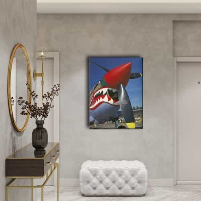 Kopekbalikli Helikopter Canvas Tablo