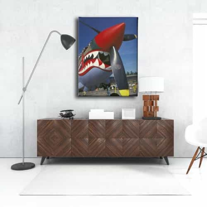 Kopekbalikli Helikopter Canvas Tablo