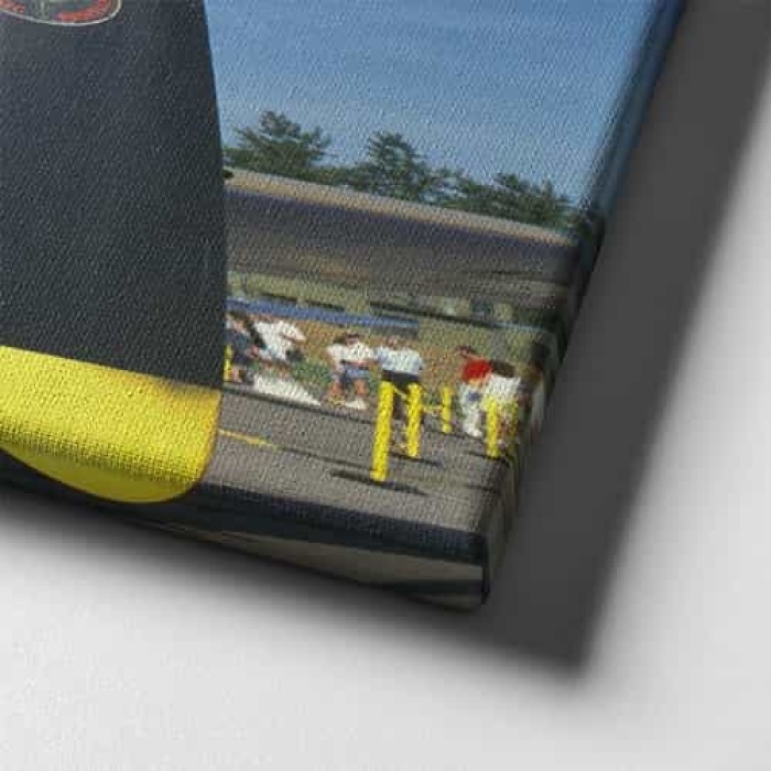 Kopekbalikli Helikopter Canvas Tablo