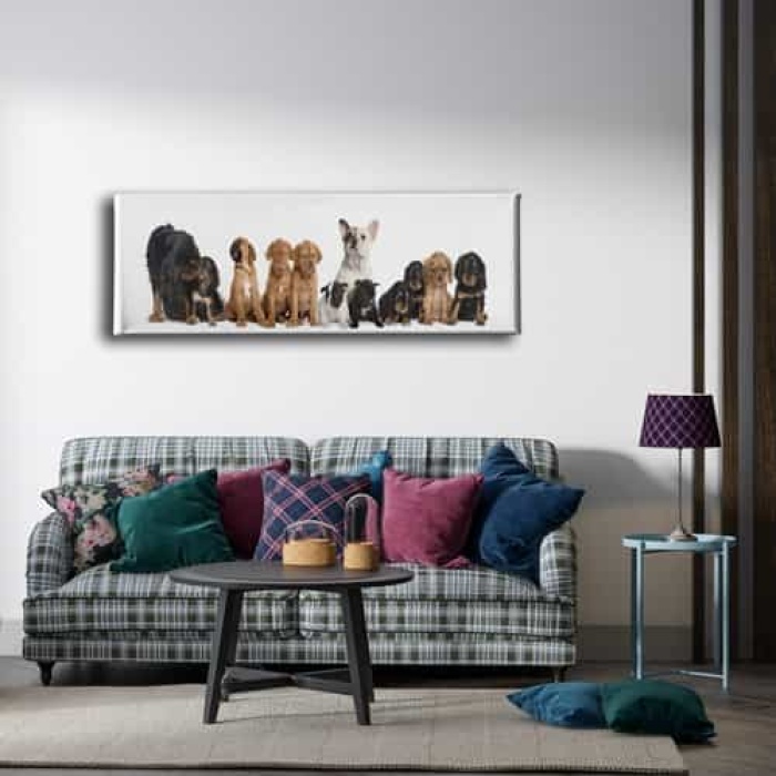 Kopekler Panoramik Kanvas Tablo