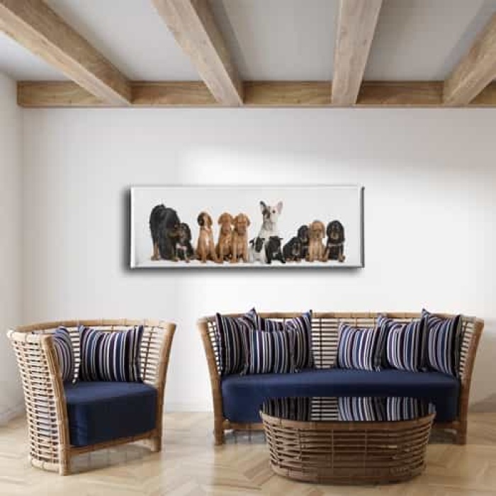 Kopekler Panoramik Kanvas Tablo