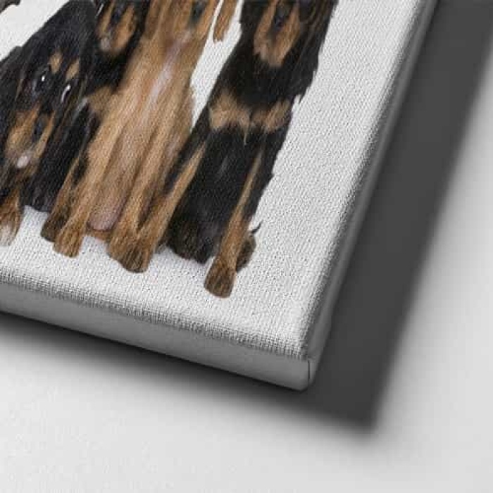 Kopekler Panoramik Kanvas Tablo