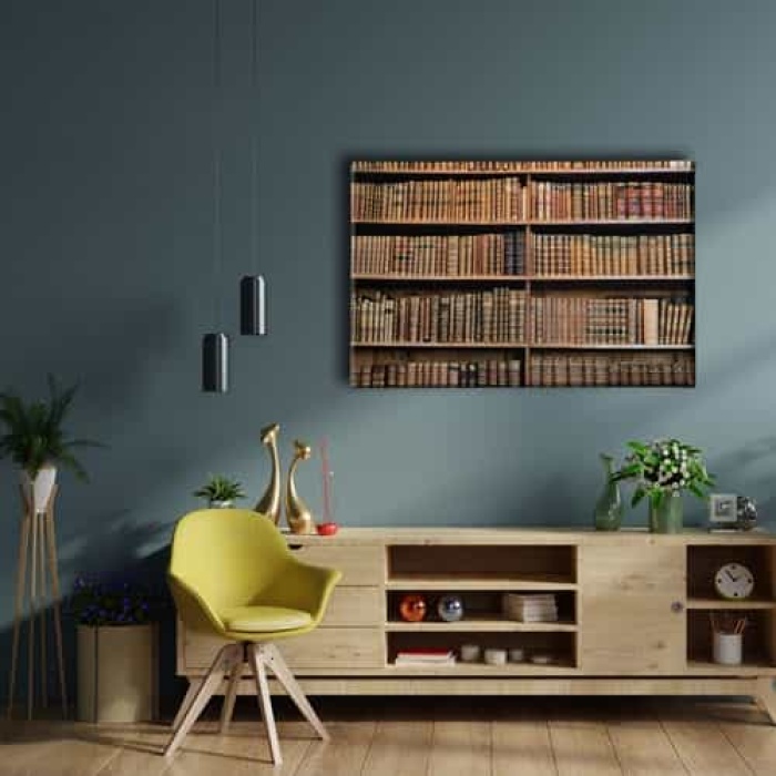 Kutuphane  Canvas Tablo