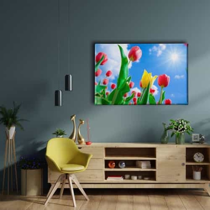 Lale Bahcesi Kanvas Tablo