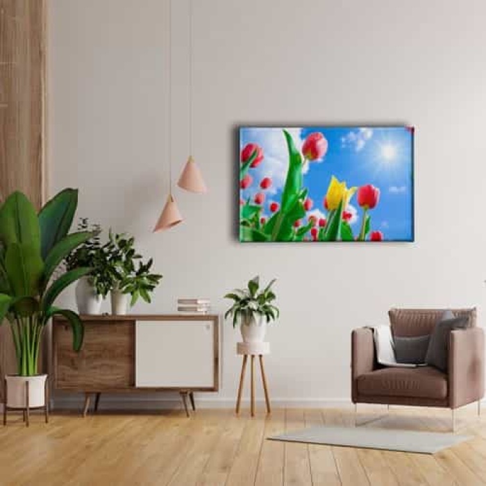 Lale Bahcesi Kanvas Tablo