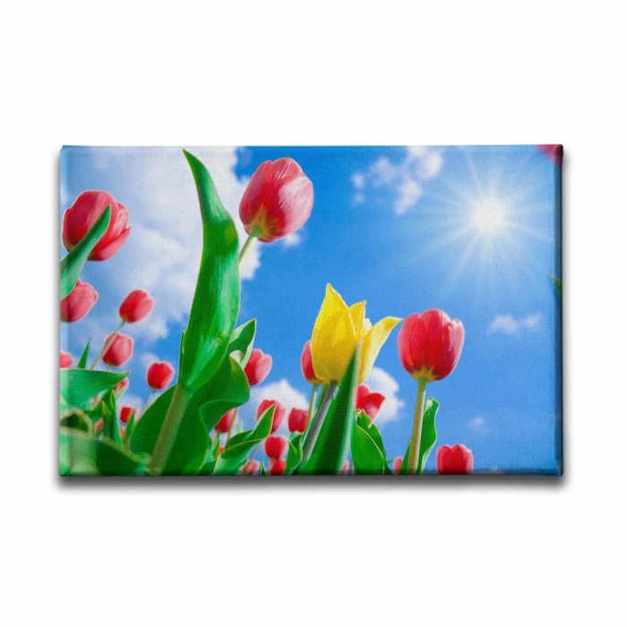 Lale Bahcesi Kanvas Tablo