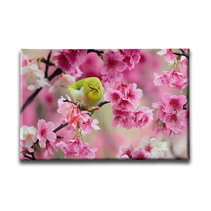 Ilkbahar Cicegi Tablo