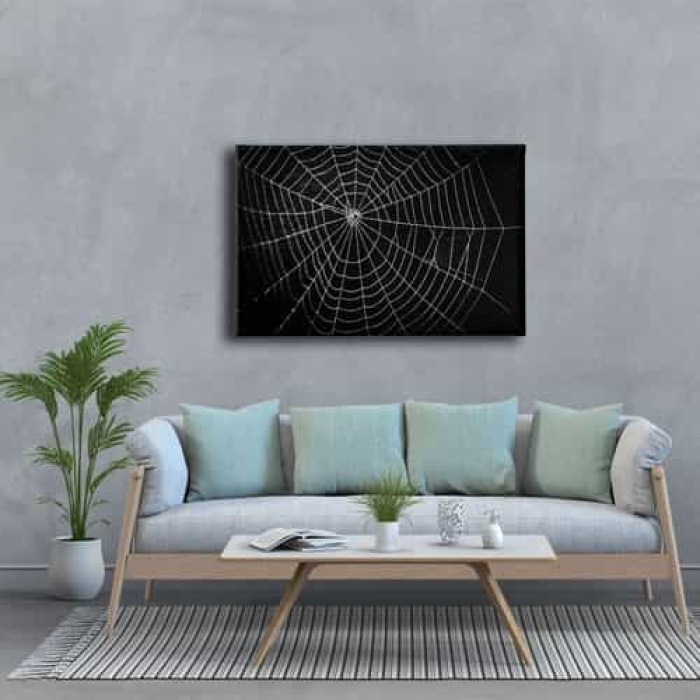 Orumcek Agi  Canvas Tablo