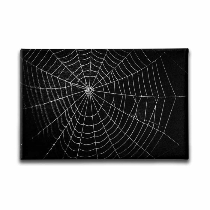 Orumcek Agi  Canvas Tablo