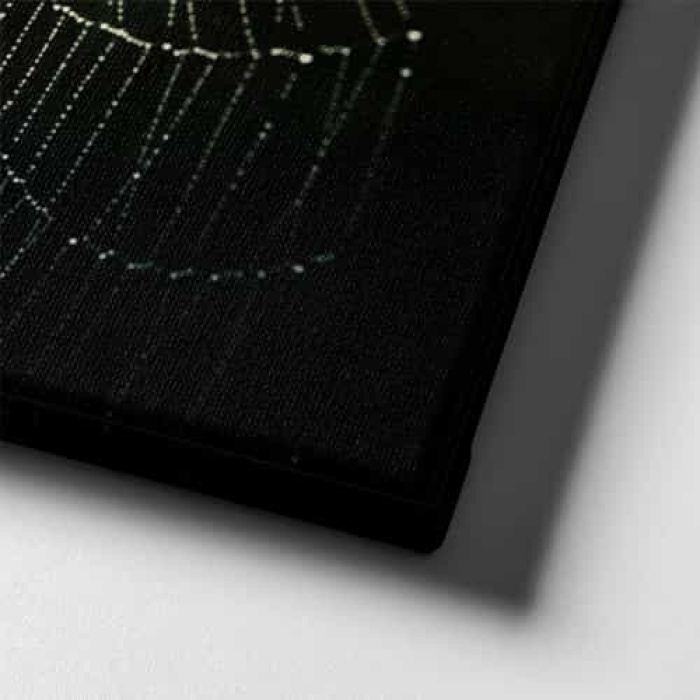 Orumcek Agi Kanvas Tablo