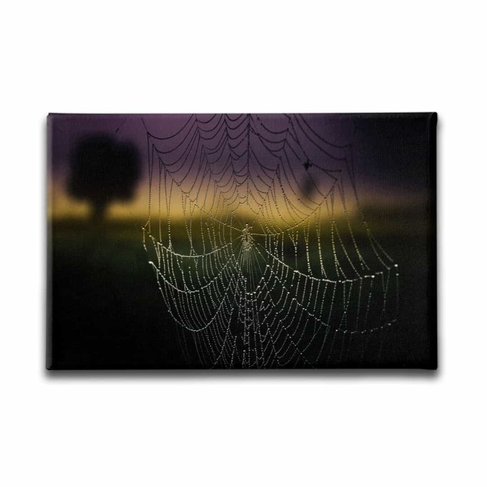 Orumcek Agi Kanvas Tablo