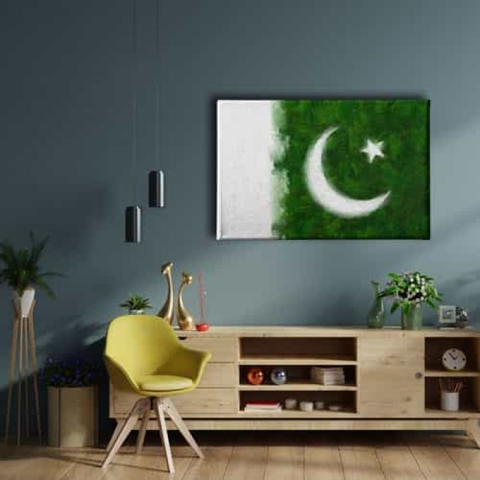 Pakistan Bayragi Kanvas Tablo