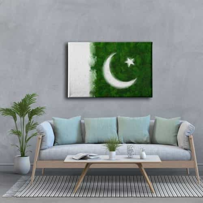 Pakistan Bayragi Kanvas Tablo