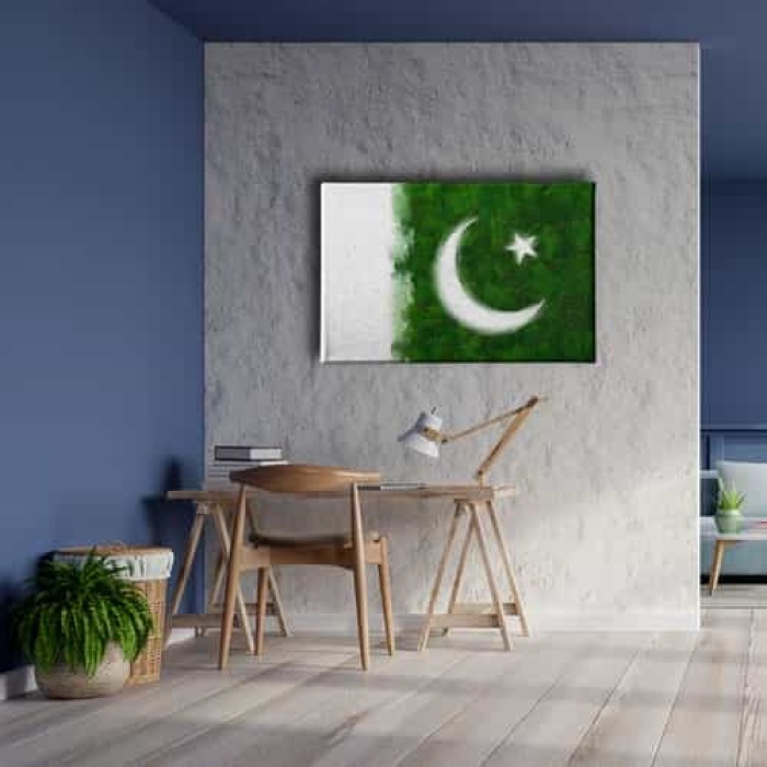 Pakistan Bayragi Kanvas Tablo