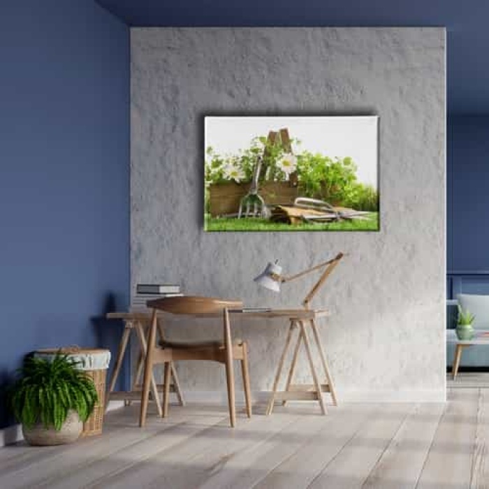 Papatya Kanvas Tablo