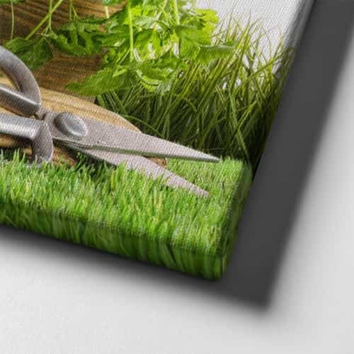 Papatya Kanvas Tablo