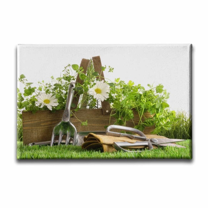 Papatya Kanvas Tablo