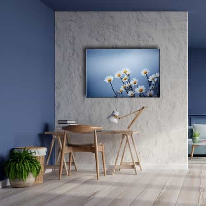 Papatya Kanvas Tablo