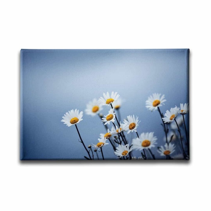 Papatya Kanvas Tablo