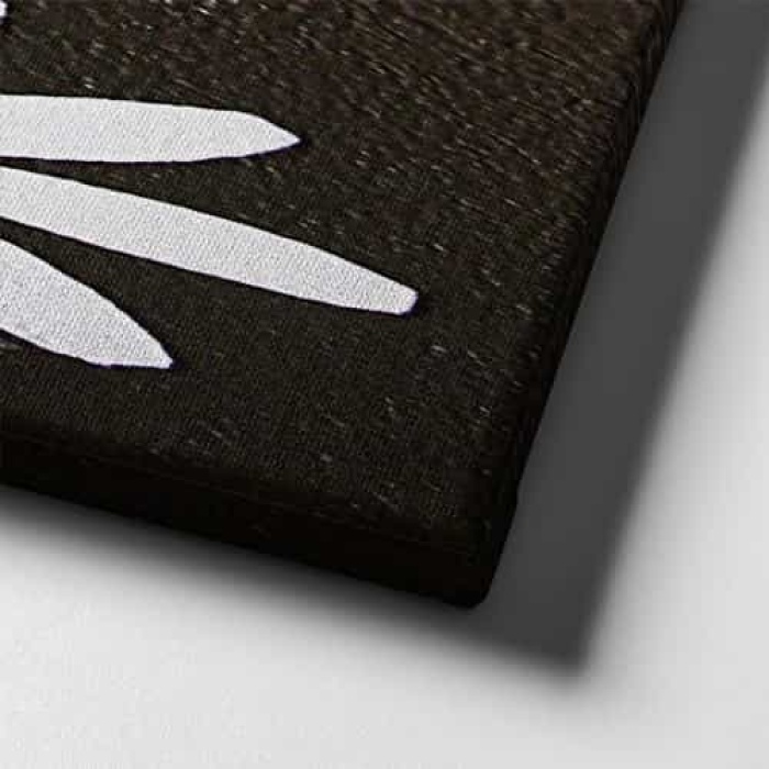 Papatya Kanvas Tablo