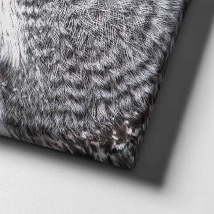 Peceli Baykus Kanvas Tablo