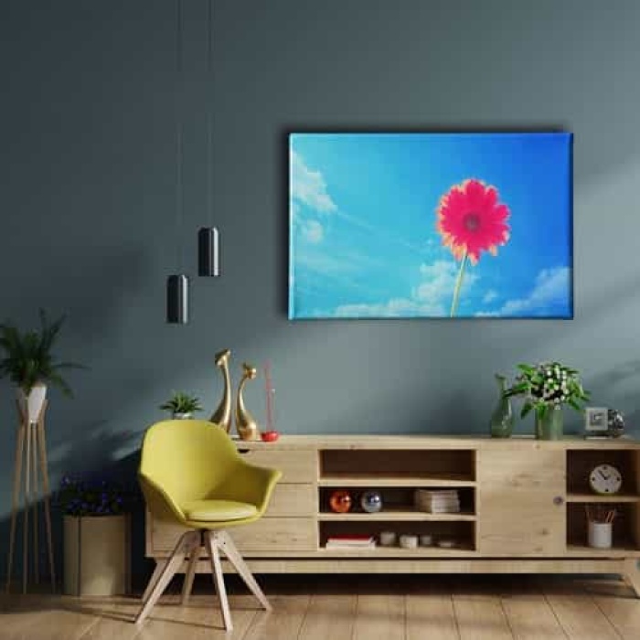 Pembe Kadife Cicegi Tablo