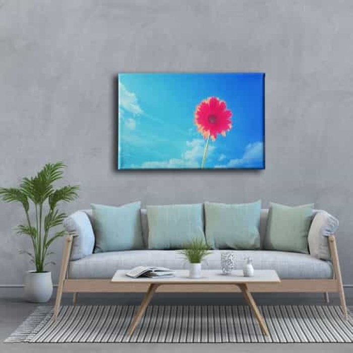 Pembe Kadife Cicegi Tablo