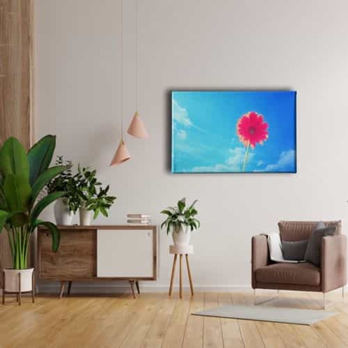 Pembe Kadife Cicegi Tablo