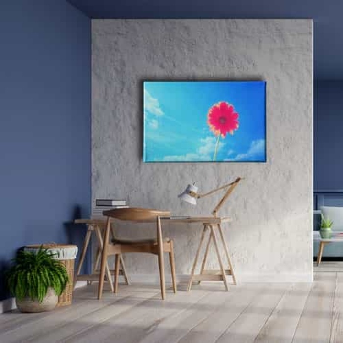 Pembe Kadife Cicegi Tablo