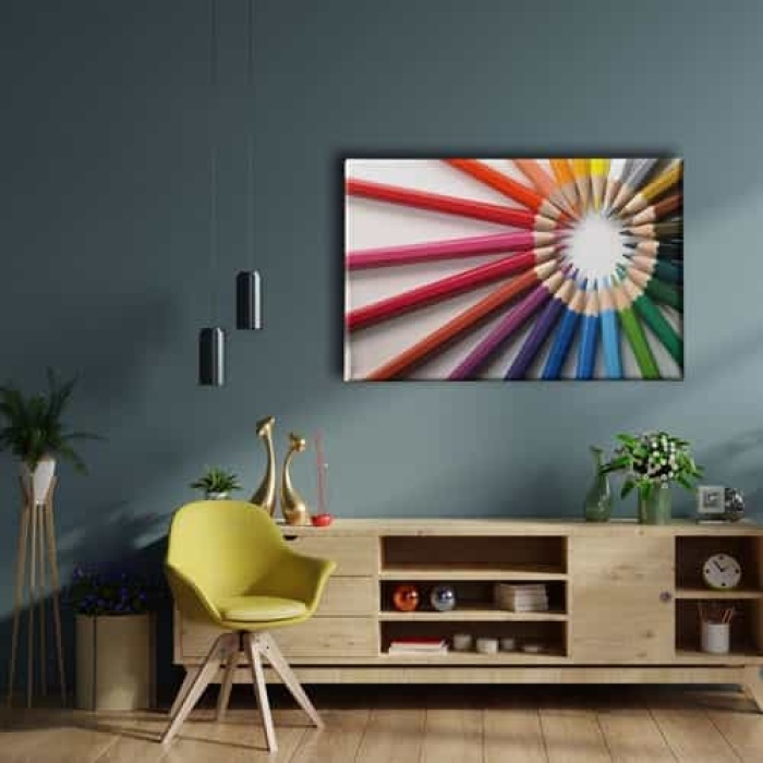 Renk Kusagi  Canvas Tablo