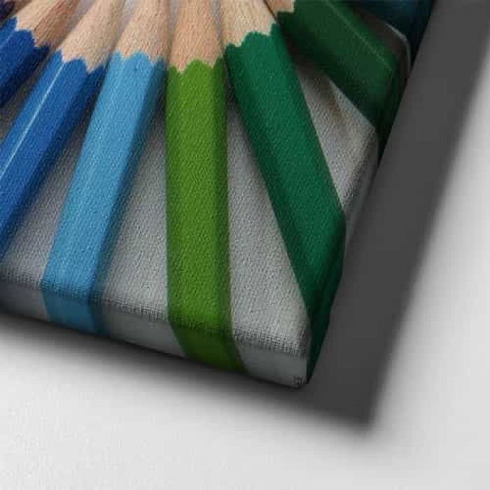 Renk Kusagi  Canvas Tablo