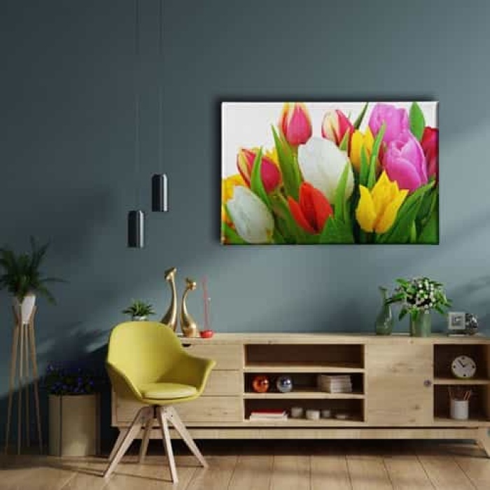 Renkli Lale Kanvas Tablo