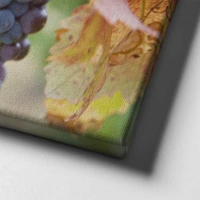 Salkim Uzum Kanvas Tablo