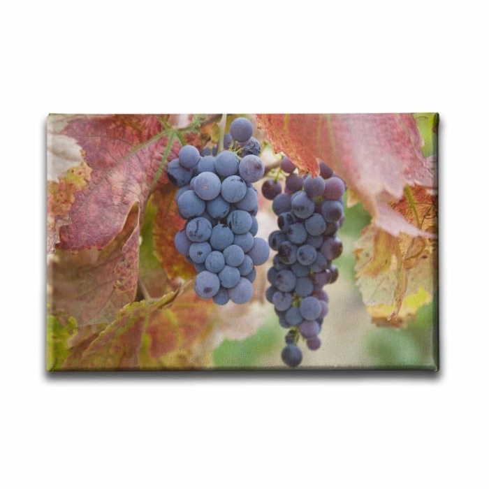 Salkim Uzum Kanvas Tablo