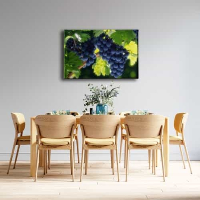 Salkim Uzum Kanvas Tablo