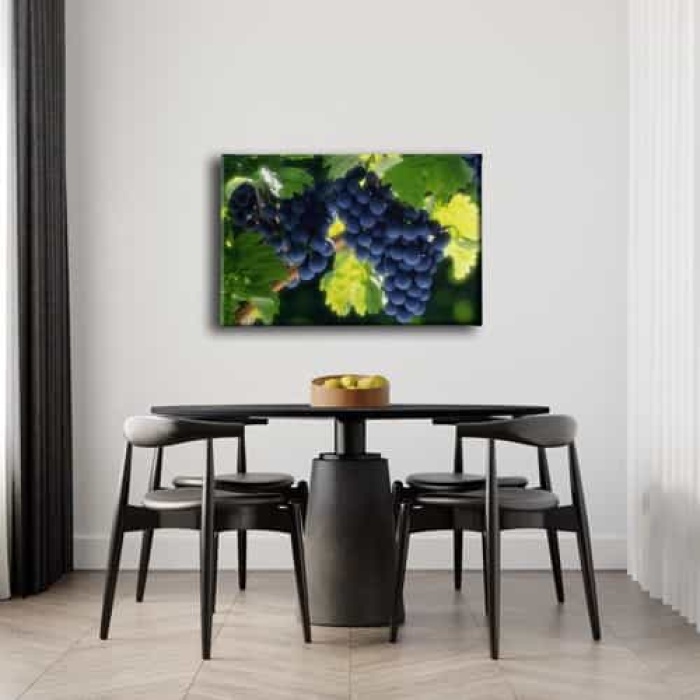 Salkim Uzum Kanvas Tablo