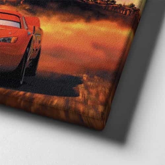 Simsek Mcqueen-doc Hudson Kanvas Tablo