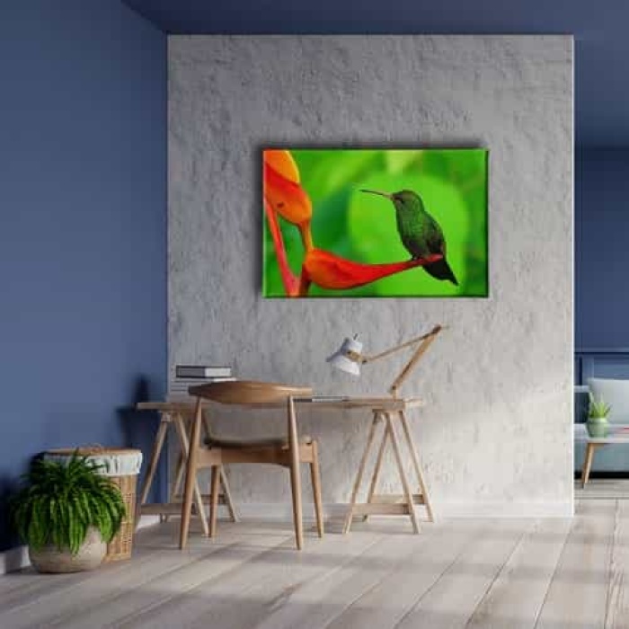 Sinek Kusu Kanvas Tablo