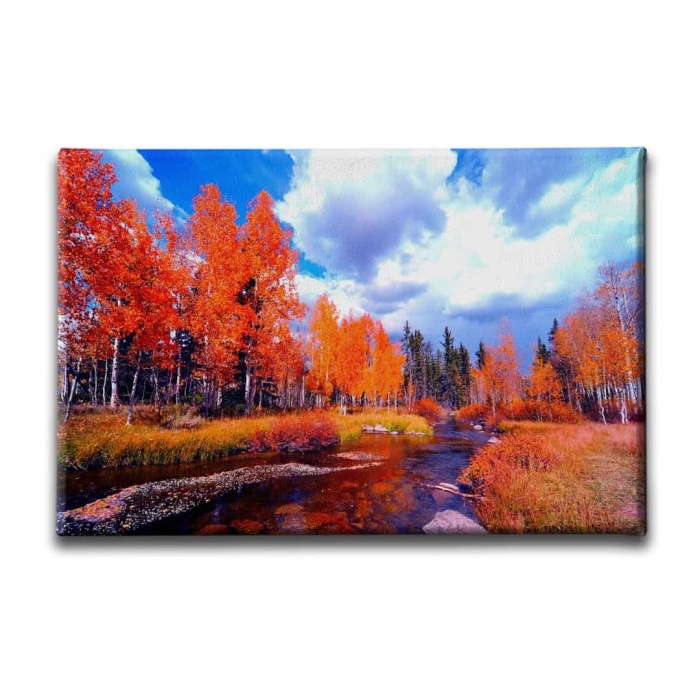 Sonbahar Kanvas Tablo