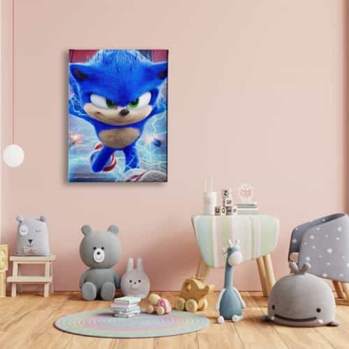 Sonic Boom Cocuk Kanvas Tablo