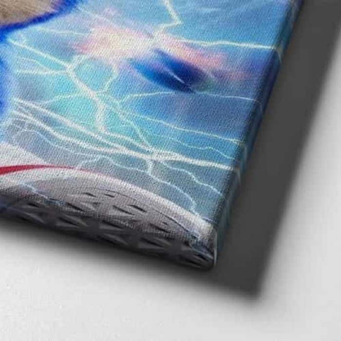 Sonic Boom Cocuk Kanvas Tablo