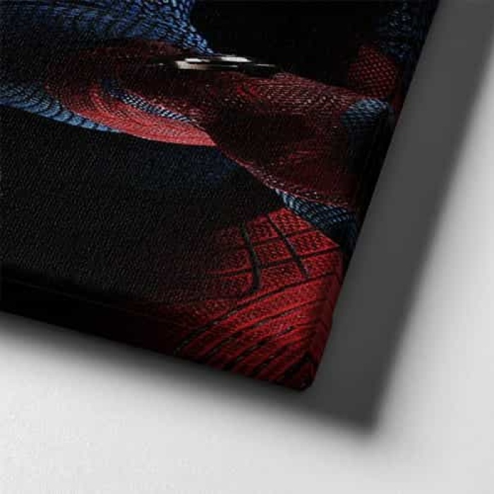 Spiderman Cocuk Kanvas Tablo