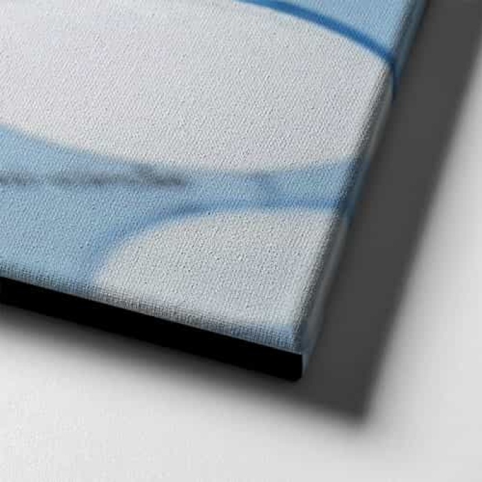 Teknik Cizim  Canvas Tablo