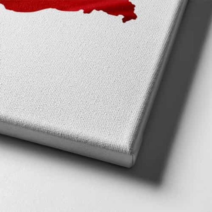 Turk Bayragi Kanvas Tablo